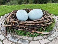 -五营红松林海景区