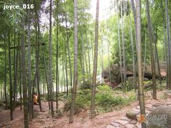 -山沟沟景区