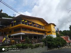 -Jungle Kitchen