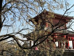 -函谷关历史文化旅游区