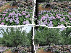 -名花谷生态庄园