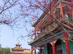 -宝墨园景区