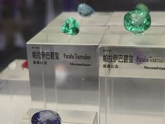 -中国地质博物馆