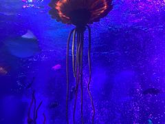 -沈阳海洋探索中心