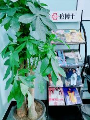 点击看大图 -痘博士广州·全国连锁祛痘机构
