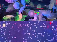 -太平洋海底世界