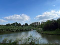 -南湖湿地公园