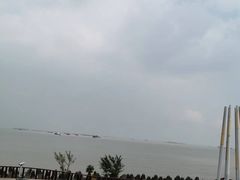 -上海滨江森林公园