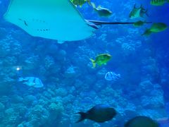 -海合安青岛极地海洋公园
