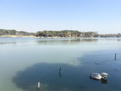 -昆山城市生态森林公园