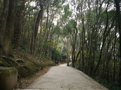 -青龙山公园
