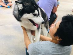 -TrueLove @ Neverland (Husky Cafe)