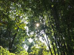 -富乐山
