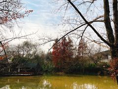 -西溪国家湿地公园