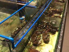 -Isla Sugbu Seafood City