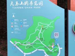 -上海佘山国家森林公园天马山园