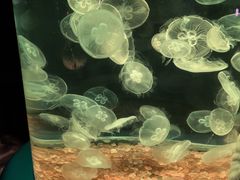 -欢乐海岸海洋奇梦馆