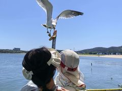 -海驴岛(荣成市)