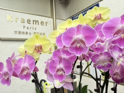 点击看大图 -Kraemer Paris苏豪路易士·嘉玛发廊