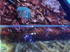 -聚盛源蒸汽海鲜火锅烤肉自助(巨川金海岸购物广场店)