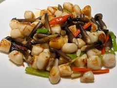 -天福苑(崇宁路店)