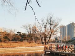 -迎泽公园