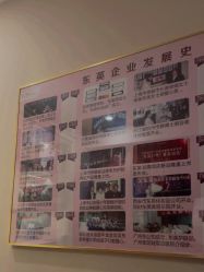 -东英经典SKIN&SPA