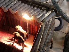 -祥源·阜阳生态乐园