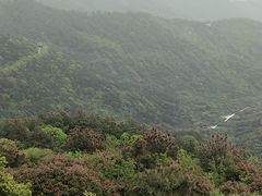 -缥缈峰景区