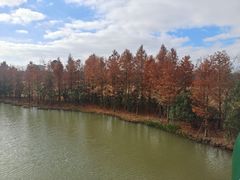 -上海长兴岛郊野公园