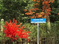 -宝晶宫旅游景区