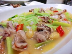 青瓜炒石斑-潮人姐妹轩(海宁路店)