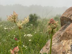 -野三坡百草畔景区