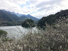 -广州市流溪河国家森林公园