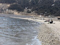 -长岛南北长山旅游景区