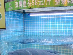 -千岛湖小鱼儿·淳安匠心农家菜