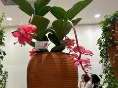 -第六季自助餐厅(北太平庄店)