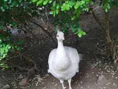 -大连老虎滩海洋公园