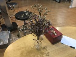 -章光101防脱养发荟