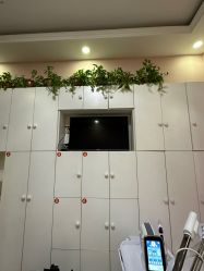 -香薇妮丝·定制减肥·身材管理