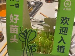 -海底捞火锅(金鼎广场店)