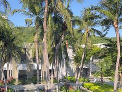 -半山半岛洲际度假酒店·观海廊