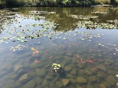 -白马涧龙池景区
