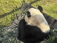 -无锡动物园·太湖欢乐园