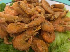 -振海居香河肉饼老店