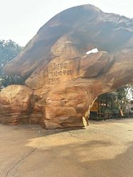 -翱翔飞越地平线