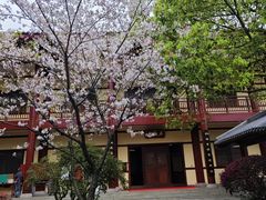 -庐山风景名胜区-东林大佛
