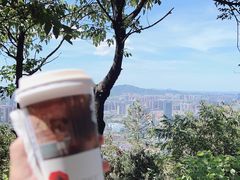 -茶颜悦色(岳麓山顶店)