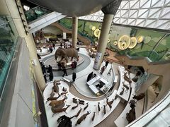 -陕西自然博物馆