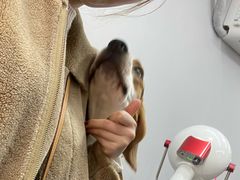 -PETKIT小佩宠物(古北店)